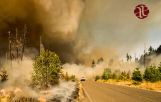 Were You Affected by a Disaster Loss?